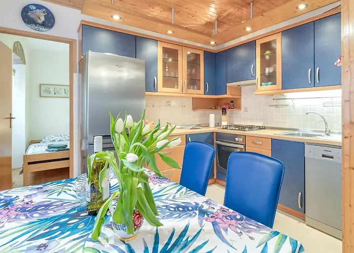 Dino Carrera Ρόβινι