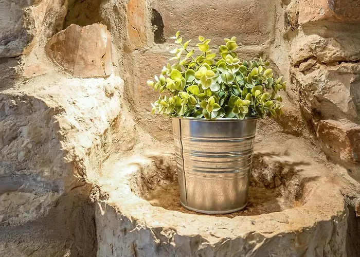 Dino Carrera * Ρόβινι