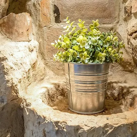 Dino Carrera * Rovinj